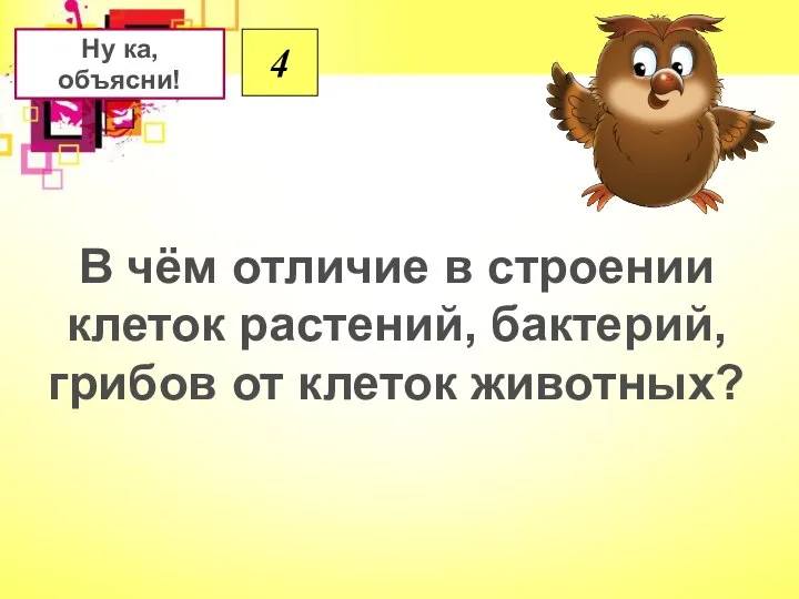 В чём отличие в строении клеток растений, бактерий, грибов от клеток животных? 4 Ну ка, объясни!