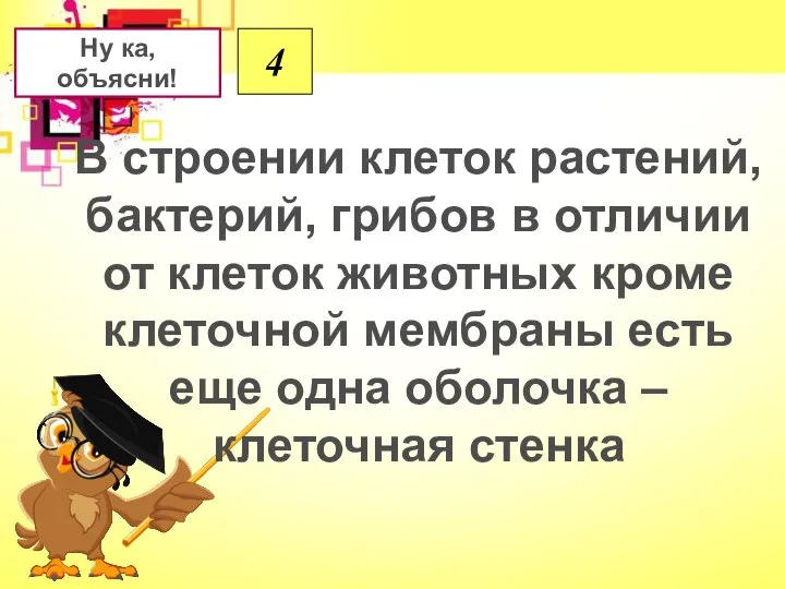 4 Ну ка, объясни! В строении клеток растений, бактерий, грибов в отличии