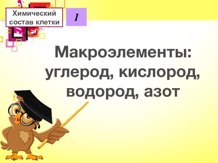 Химический состав клетки 1 Макроэлементы: углерод, кислород, водород, азот