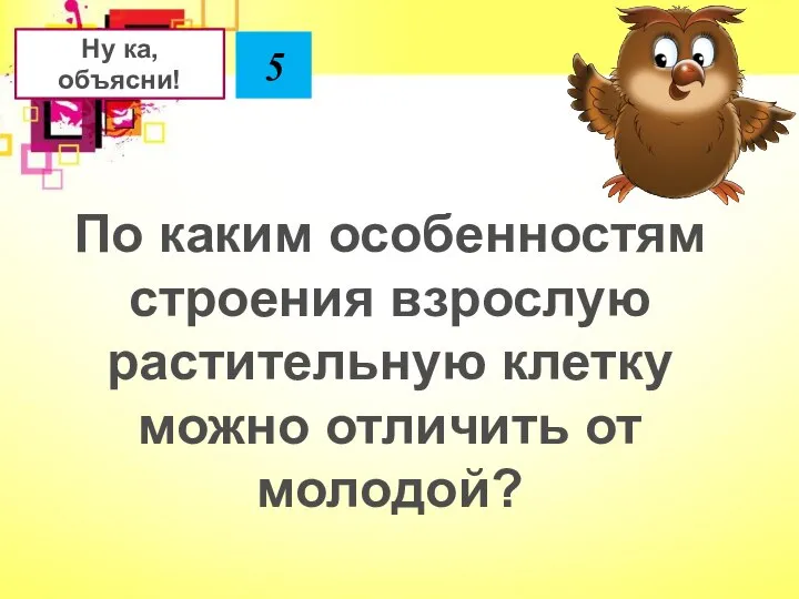 По каким особенностям строения взрослую растительную клетку можно отличить от молодой? Ну ка, объясни! 5