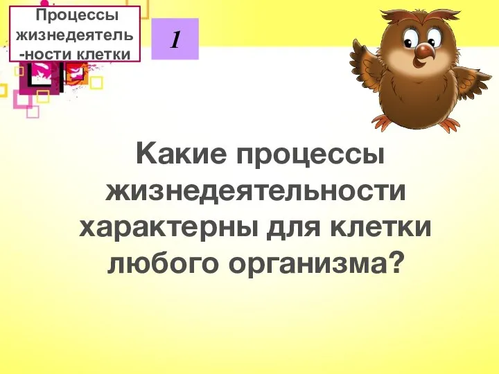 Процессы жизнедеятель-ности клетки 1 Какие процессы жизнедеятельности характерны для клетки любого организма?