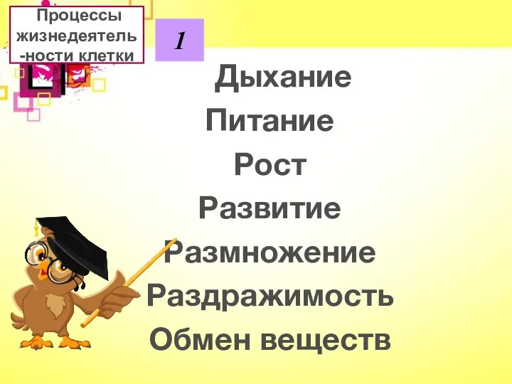 Процессы жизнедеятель-ности клетки 1 Дыхание Питание Рост Развитие Размножение Раздражимость Обмен веществ