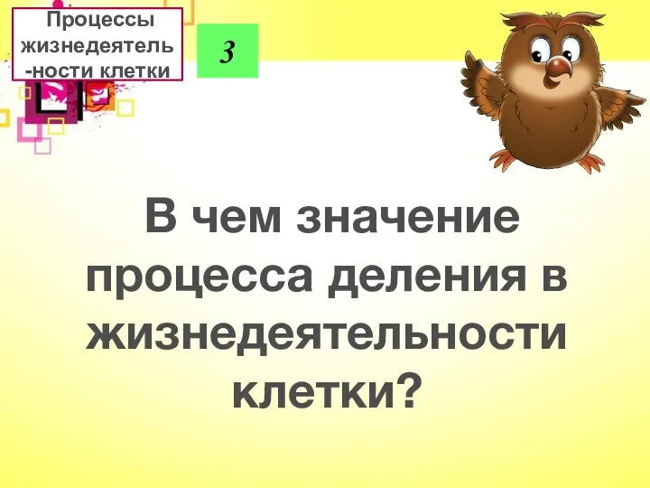 3 В чем значение процесса деления в жизнедеятельности клетки? Процессы жизнедеятель-ности клетки