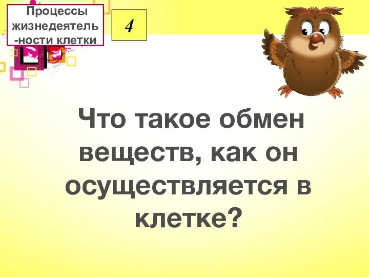 Что такое обмен веществ, как он осуществляется в клетке? Процессы жизнедеятель-ности клетки 4