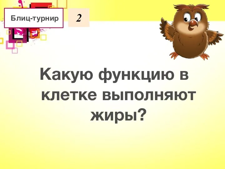 Какую функцию в клетке выполняют жиры? Блиц-турнир 2