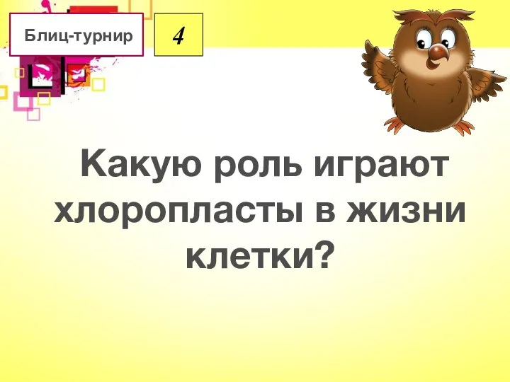 Какую роль играют хлоропласты в жизни клетки? Блиц-турнир 4