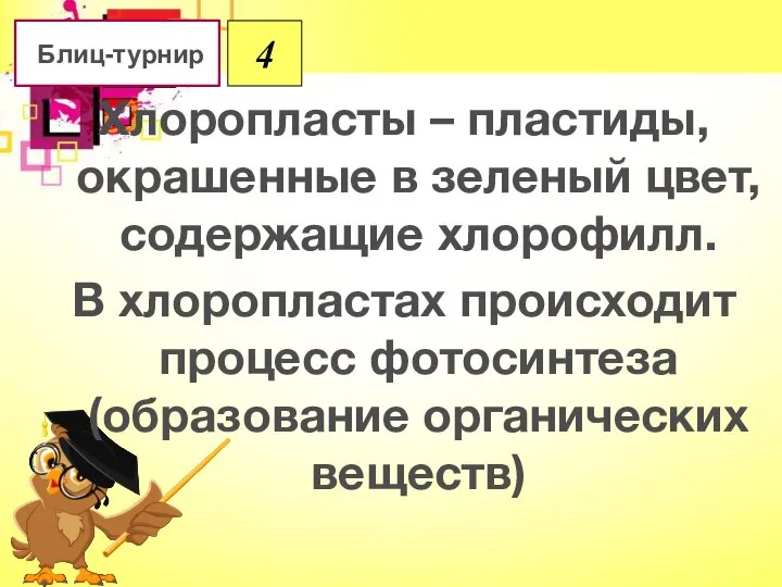 Хлоропласты – пластиды, окрашенные в зеленый цвет, содержащие хлорофилл. В хлоропластах происходит