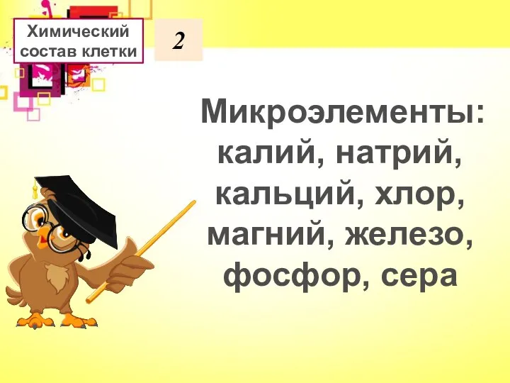 2 Микроэлементы: калий, натрий, кальций, хлор, магний, железо, фосфор, сера Химический состав клетки