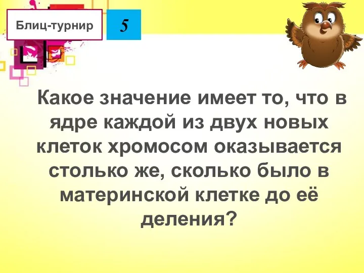 Какое значение имеет то, что в ядре каждой из двух новых клеток