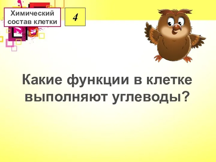 4 Какие функции в клетке выполняют углеводы? Химический состав клетки