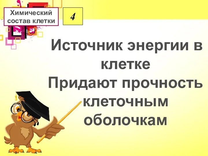 4 Источник энергии в клетке Придают прочность клеточным оболочкам Химический состав клетки