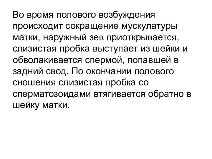 Во время полового возбуждения происходит сокращение мускулатуры матки, наружный зев приоткрывается, слизистая