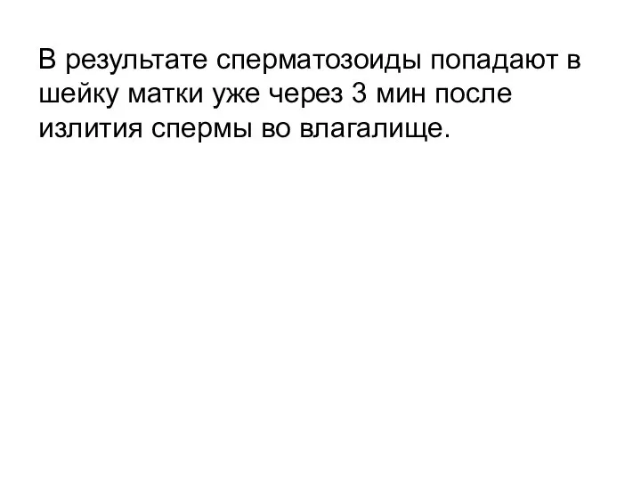 В результате сперматозоиды попадают в шейку матки уже через 3 мин после излития спермы во влагалище.