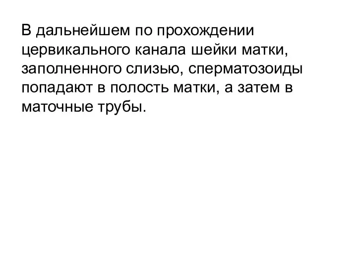 В дальнейшем по прохождении цервикального канала шейки матки, заполненного слизью, сперматозоиды попадают