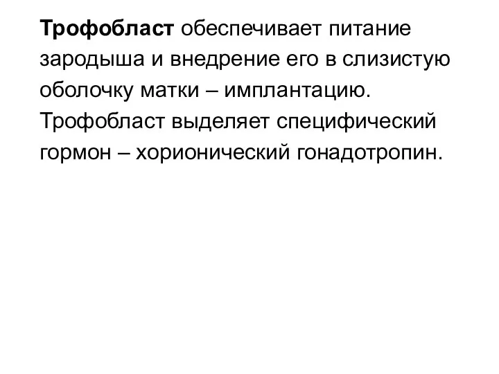 Трофобласт обеспечивает питание зародыша и внедрение его в слизистую оболочку матки –