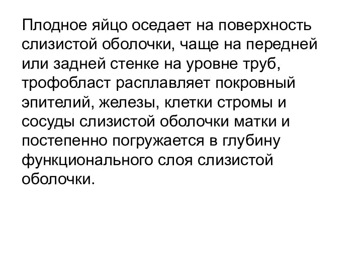 Плодное яйцо оседает на поверхность слизистой оболочки, чаще на передней или задней