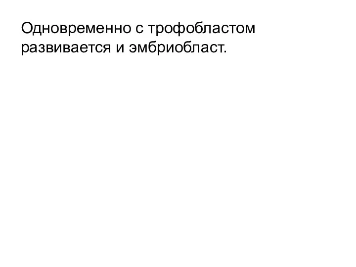 Одновременно с трофобластом развивается и эмбриобласт.