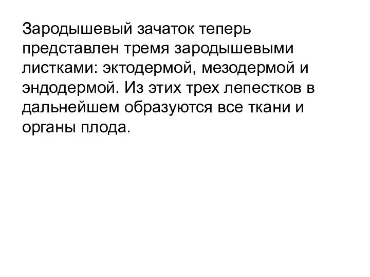 Зародышевый зачаток теперь представлен тремя зародышевыми листками: эктодермой, мезодермой и эндодермой. Из