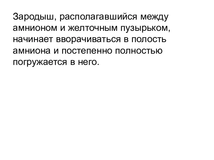 Зародыш, располагавшийся между амнионом и желточным пузырьком, начинает вворачиваться в полость амниона