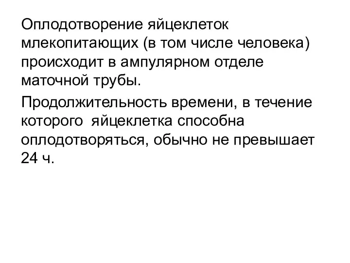 Оплодотворение яйцеклеток млекопитающих (в том числе человека) происходит в ампулярном отделе маточной