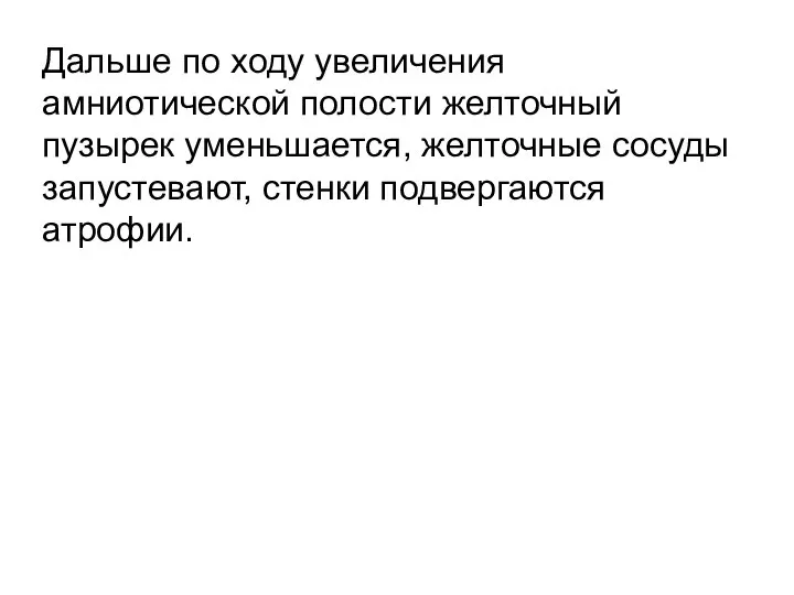 Дальше по ходу увеличения амниотической полости желточный пузырек уменьшается, желточные сосуды запустевают, стенки подвергаются атрофии.