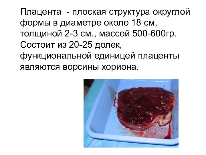 Плацента - плоская структура округлой формы в диаметре около 18 см, толщиной