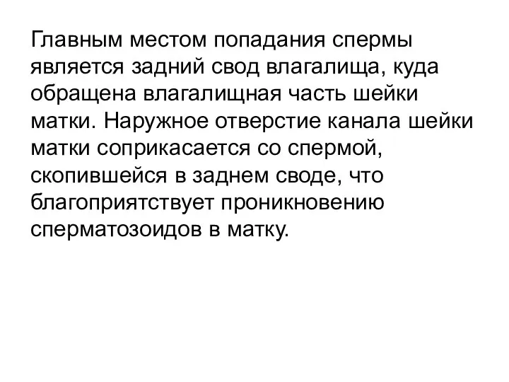 Главным местом попадания спермы является задний свод влагалища, куда обращена влагалищная часть