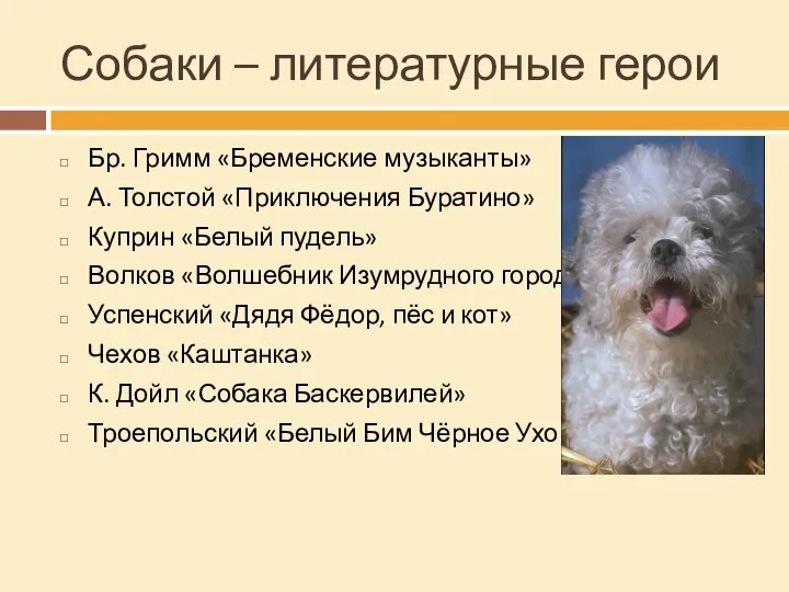 Собаки – литературные герои Бр. Гримм «Бременские музыканты» А. Толстой «Приключения Буратино»