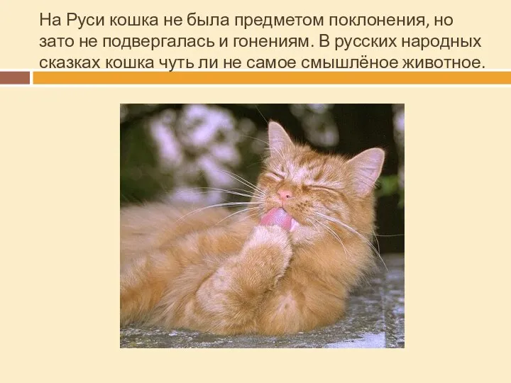 На Руси кошка не была предметом поклонения, но зато не подвергалась и