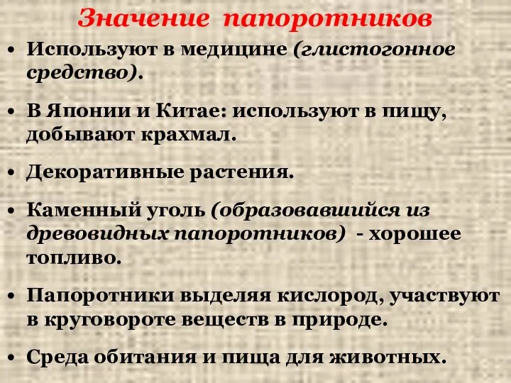 Значение папоротников Используют в медицине (глистогонное средство). В Японии и Китае: используют