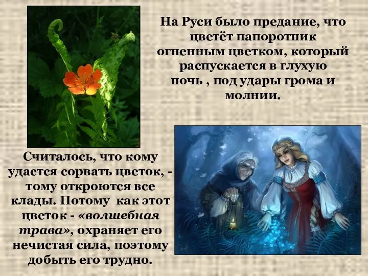 На Руси было предание, что цветёт папоротник огненным цветком, который распускается в