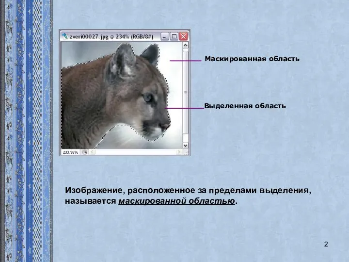 Изображение, расположенное за пределами выделения, называется маскированной областью.