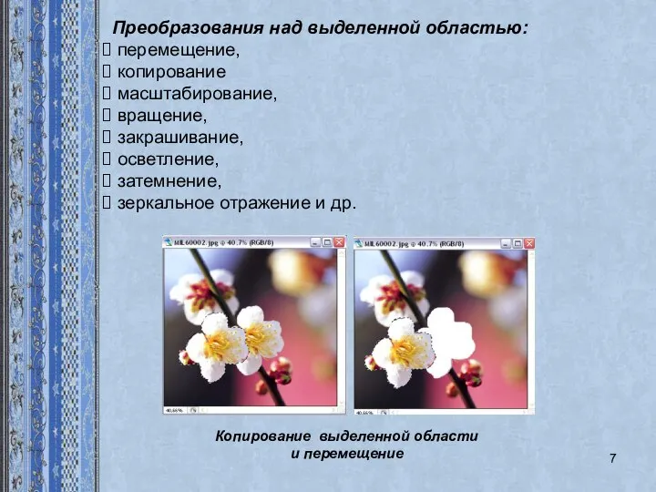 Преобразования над выделенной областью: перемещение, копирование масштабирование, вращение, закрашивание, осветление, затемнение, зеркальное отражение и др.