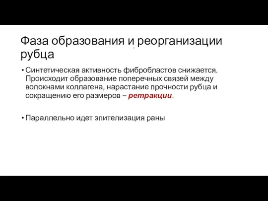 Фаза образования и реорганизации рубца Синтетическая активность фибробластов снижается. Происходит образование поперечных