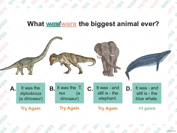It was the diplodocus (a dinosaur) It was the T. rex (a