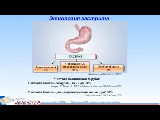 Частота выявления H.pylori Язвенная болезнь желудка – от 70 до 80% Morgan