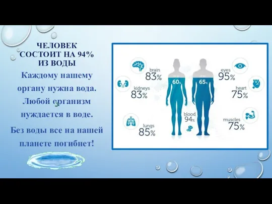 ЧЕЛОВЕК СОСТОИТ НА 94% ИЗ ВОДЫ Каждому нашему органу нужна вода. Любой