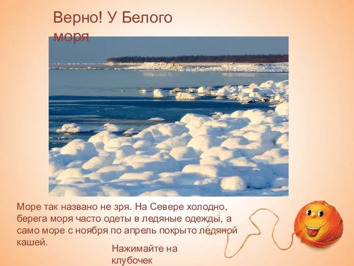 Верно! У Белого моря Море так названо не зря. На Севере холодно,