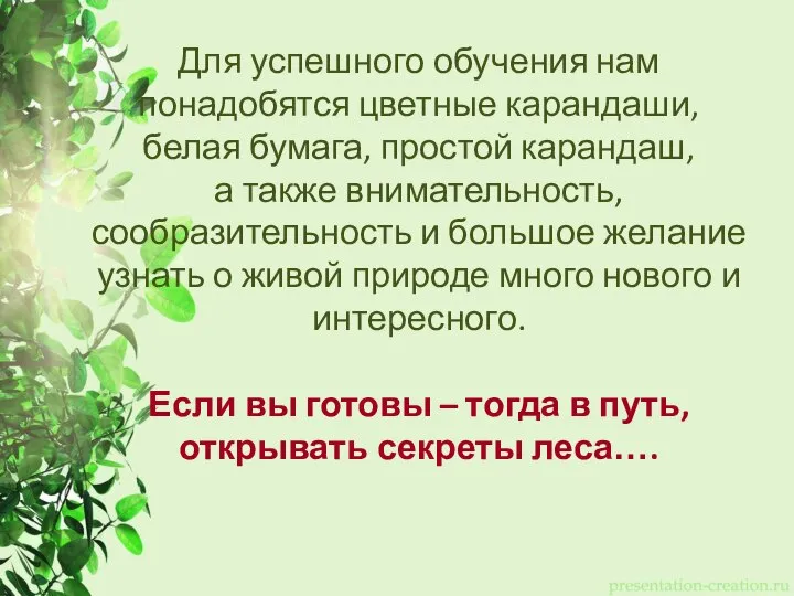 Для успешного обучения нам понадобятся цветные карандаши, белая бумага, простой карандаш, а