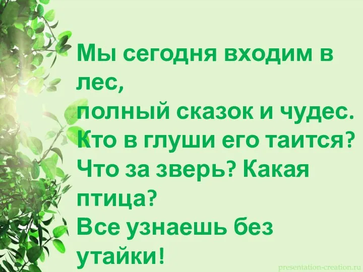 Мы сегодня входим в лес, полный сказок и чудес. Кто в глуши