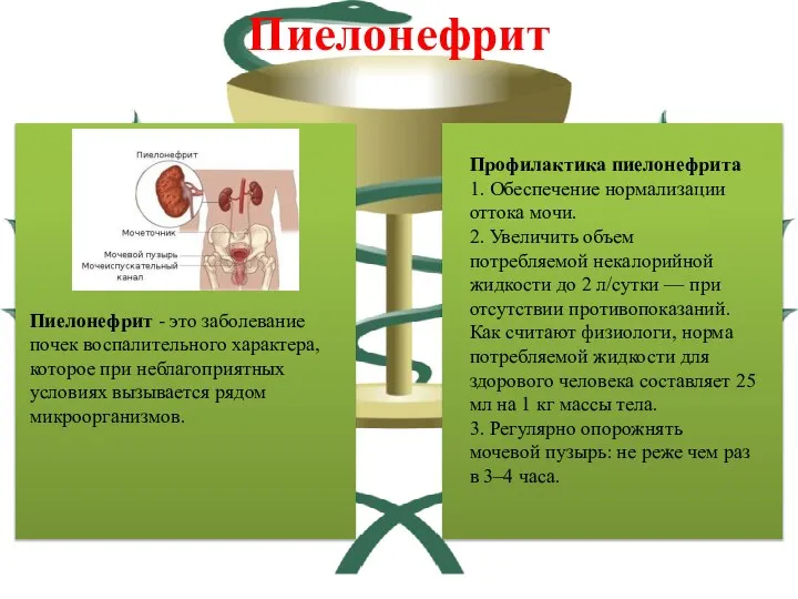 Пиелонефрит Пиелонефрит - это заболевание почек воспалительного характера, которое при неблагоприятных условиях