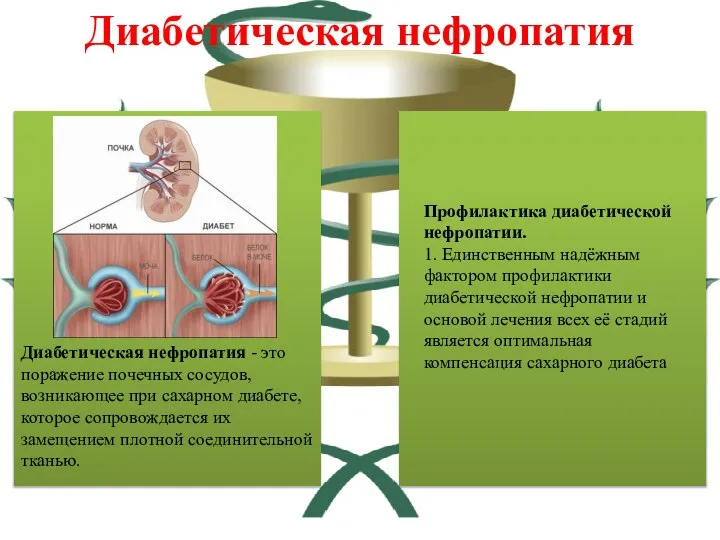 Диабетическая нефропатия Диабетическая нефропатия - это поражение почечных сосудов, возникающее при сахарном