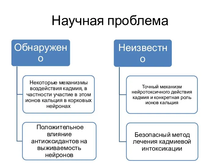 Научная проблема