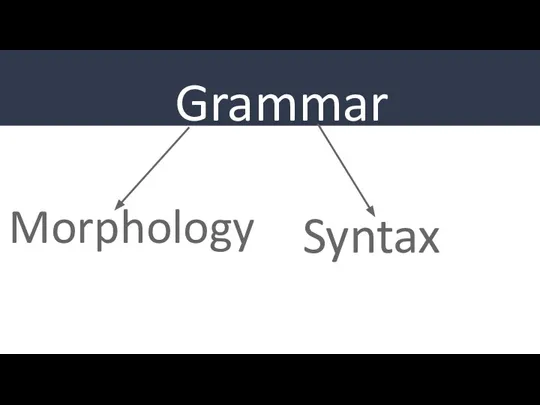 Grammar Morphology Syntax