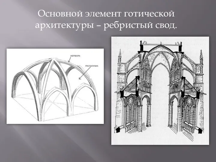 Основной элемент готической архитектуры – ребристый свод.