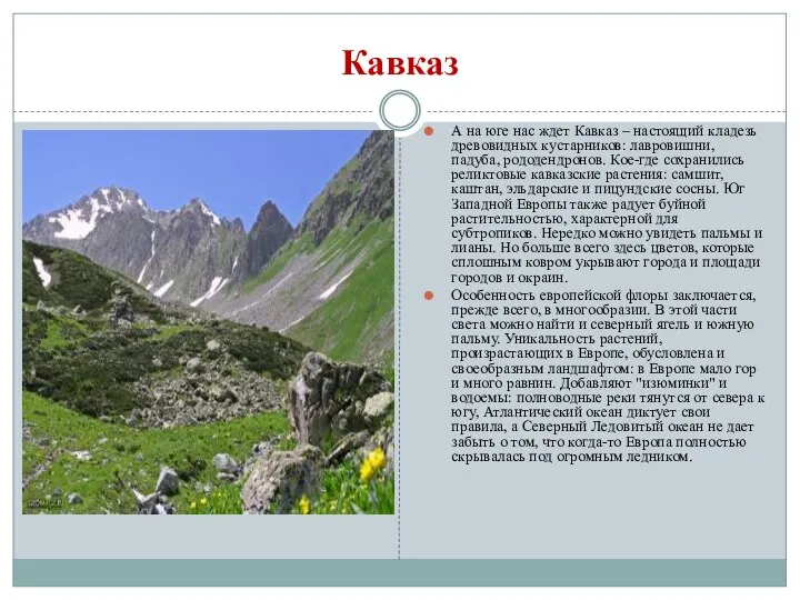 Кавказ А на юге нас ждет Кавказ – настоящий кладезь древовидных кустарников: