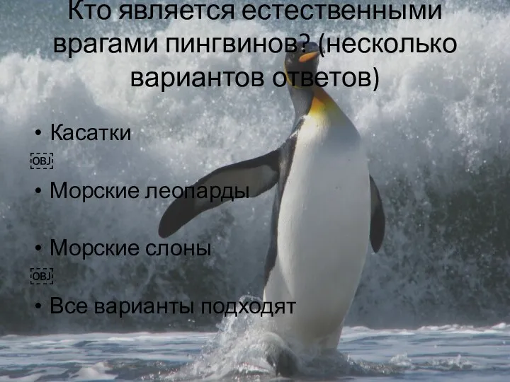 Кто является естественными врагами пингвинов? (несколько вариантов ответов) Касатки ￼ Морские леопарды