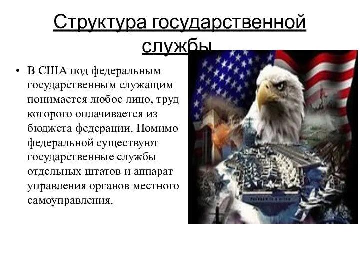 Структура государственной службы. В США под федеральным государственным служащим понимается любое лицо,