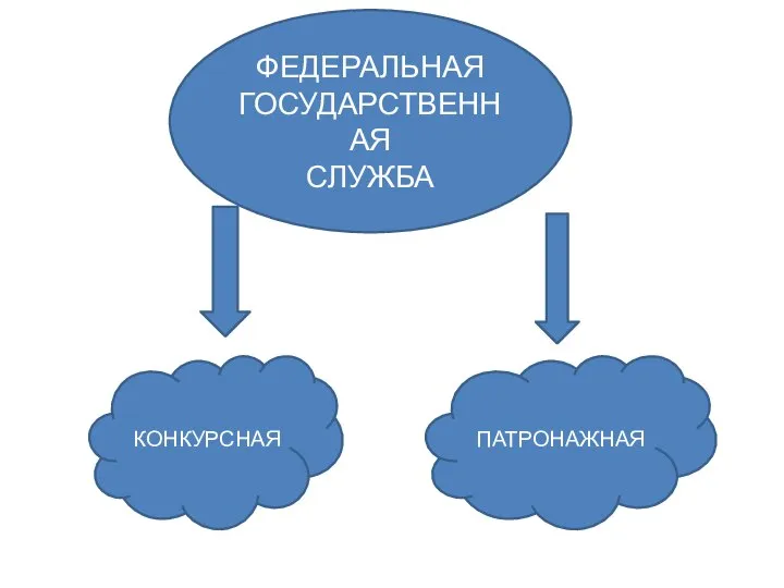 ФЕДЕРАЛЬНАЯ ГОСУДАРСТВЕННАЯ СЛУЖБА КОНКУРСНАЯ ПАТРОНАЖНАЯ