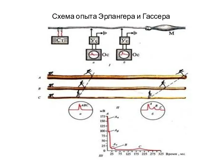 Схема опыта Эрлангера и Гассера